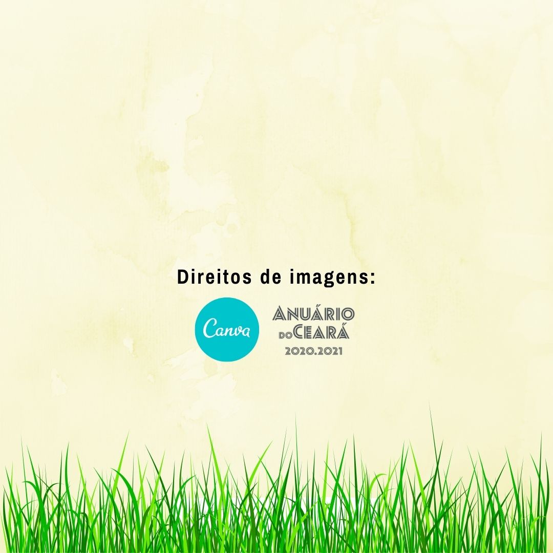 Livro Umari o lugar onde vivo